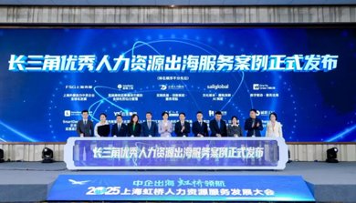 斗球app官网外包服务